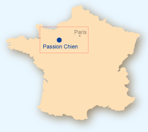 Situation géographique de Passion Chien en France